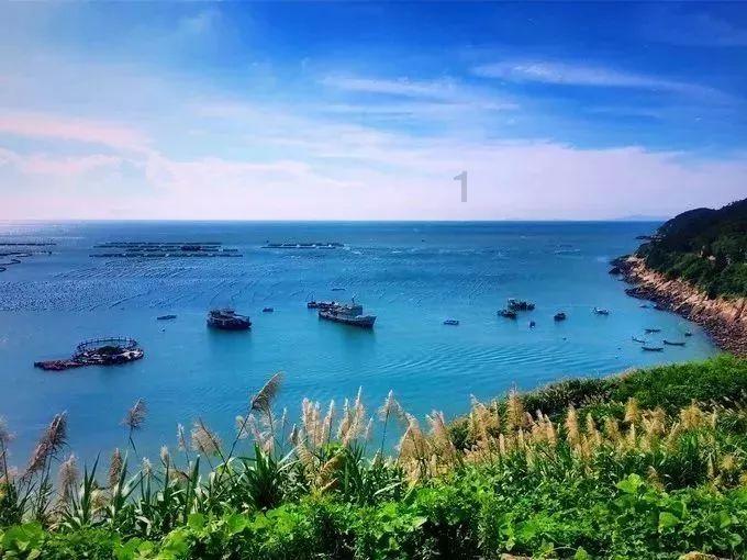 探索大学入学需检测什么?,发现你想要的答案